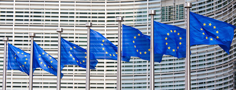 Sju EU-flaggor på rad.