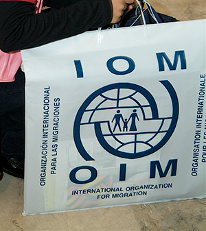 Bild som visar utseendet på IOM-påsen.