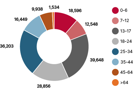 Pie chart showing the ages of asylum seekers. The 13–17 age group is the largest with 39,648 people, followed by the 25–34 age group with 36,203 people, 18–24 years with 28,856 persons, 0–6 years with 18,596 persons, 35–44 years with 16,449 persons, 7–12 years with 12,548 persons, 45–64 years with 9,938 persons and finally 64 years and older with 1,534 persons.