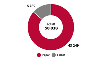 Antal ensamkommande barn som sökte asyl i Sverige 2013–2023.