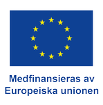 Logotyp Medfinansieras av Europeiska unionen
